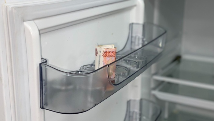 какой холодильник купить